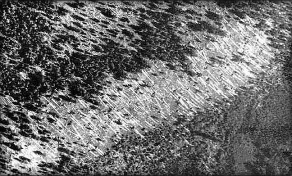 tunguska3