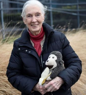 jane-goodall.jpg